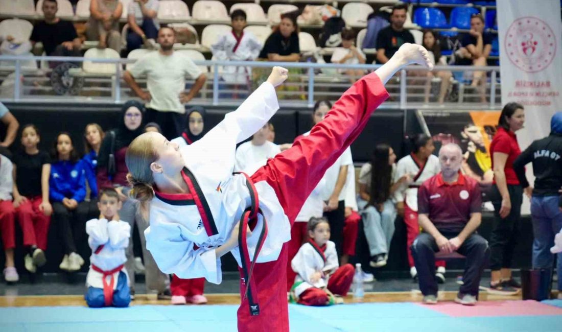 Balıkesır’de 15 Temmuz ruhu ile taekwondo poomsae heyecanı başladı 15 Temmuz Demokrasi ve Milli Birlik Günü etkinlikleri kapsamında düzenlenen