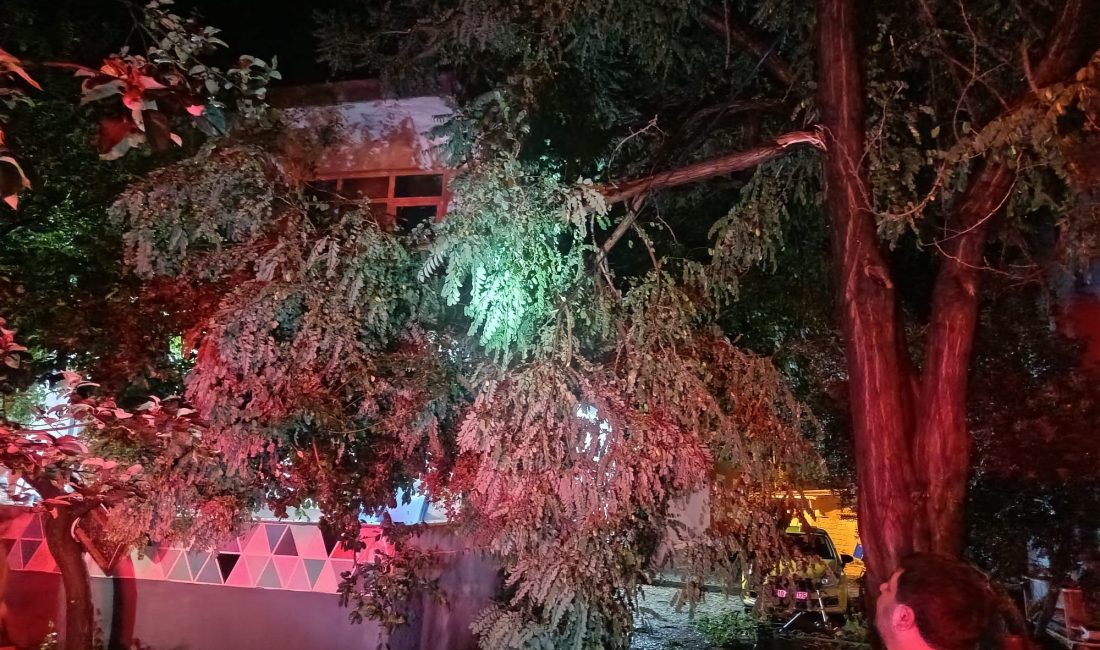 Erdek’te fırtına ve dolu yağışı: Ağaçlar devrildi, çatılar uçtu Marmara Denizi üzerinde etkili olan süper hücre fırtınası, Balıkesir'in Erdek