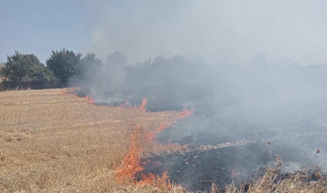 Bandırma’da anız ve çalılık alanda çıkan yangın söndürüldü Balıkesir'in Bandırma ilçesinde anız ve çalılık alanda meydana gelen yangın,