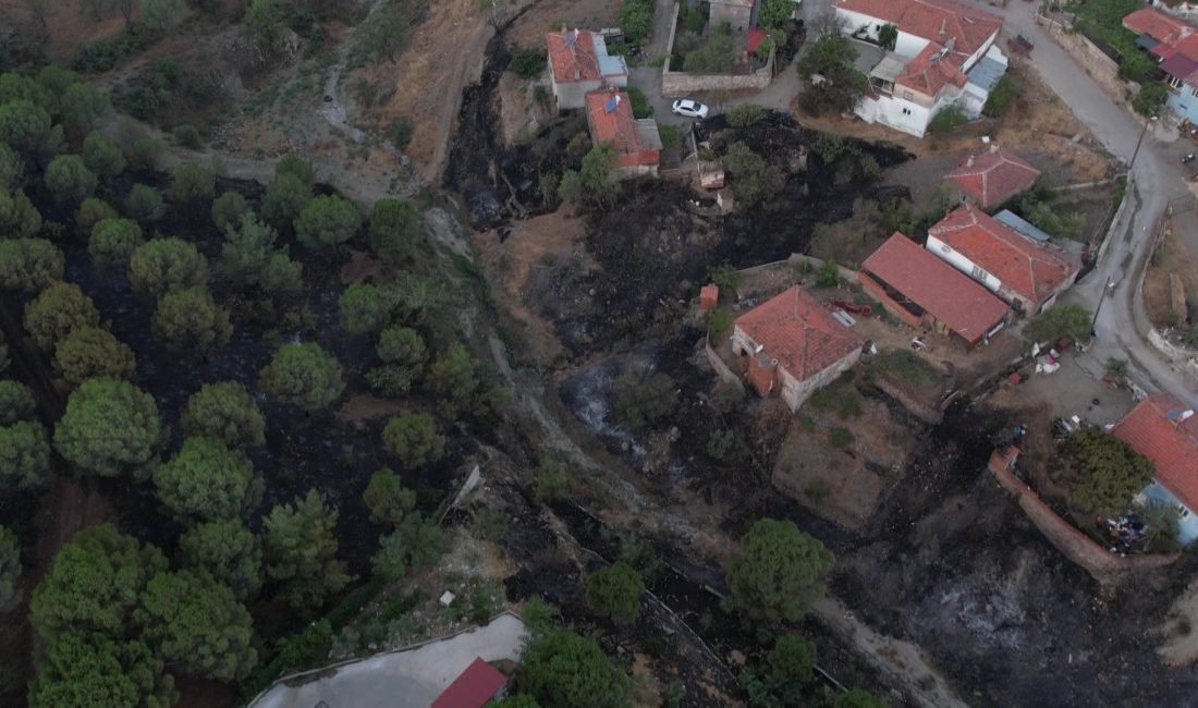 Tıfıllar Köyü’ndeki yangının boyutu gün ağırınca ortaya çıktı Balıkesir'in Ayvalık ilçesinde bulunan Tıfıllar Köyü'ne kadar ulaşan orman yangınında