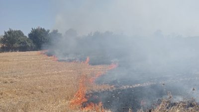 Balıkesir'in Bandırma ilçesinde anız ve çalılık alanda meydana gelen yangın,