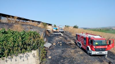 Balıkesir'in Manyas ilçesinde otluk alan ve buğday tarlasında meydana gelen