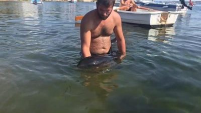 Balıkesir'in Erdek ilçesine bağlı Tatlısu Mahallesi Büyük Bakraç mevkiinde karaya