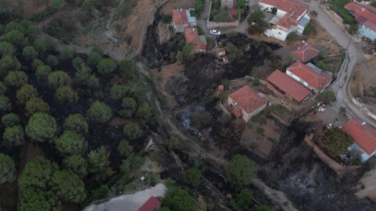 Balıkesir'in Ayvalık ilçesinde bulunan Tıfıllar Köyü'ne kadar ulaşan orman yangınında