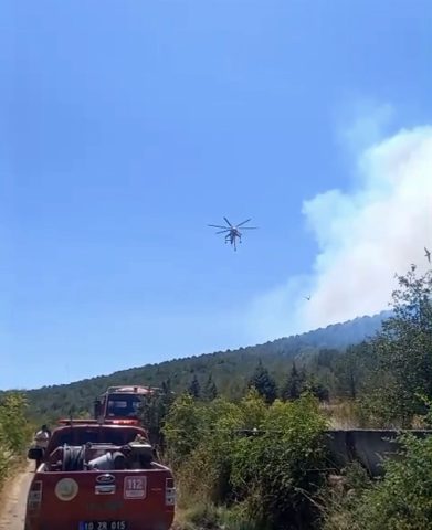 Gömeç'te alevlerle mücadele devam ederken, Sındırgı ilçesinde de yangın çıktı.