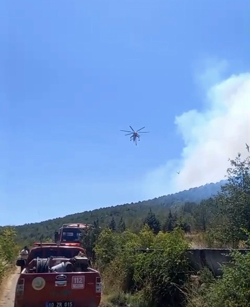 Gömeç'te alevlerle mücadele devam ederken, Sındırgı ilçesinde de yangın çıktı.