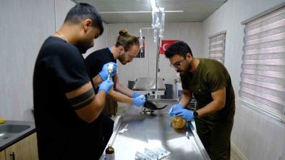 Altıeylül Belediyesi Veteriner İşleri Müdürlüğü bünyesinde faaliyet gösteren Hayvan Bakımevi
