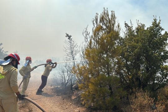 Balıkesir’in Gömeç ilçesine bağlı Kubaşlar Mahallesi’nde ormanlık alanda çıkan yangına