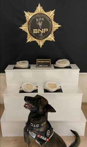 Balıkesir'in Savaştepe ilçesinde narkotik polisleri ve narkotik köpeği 'Dangal'ın da
