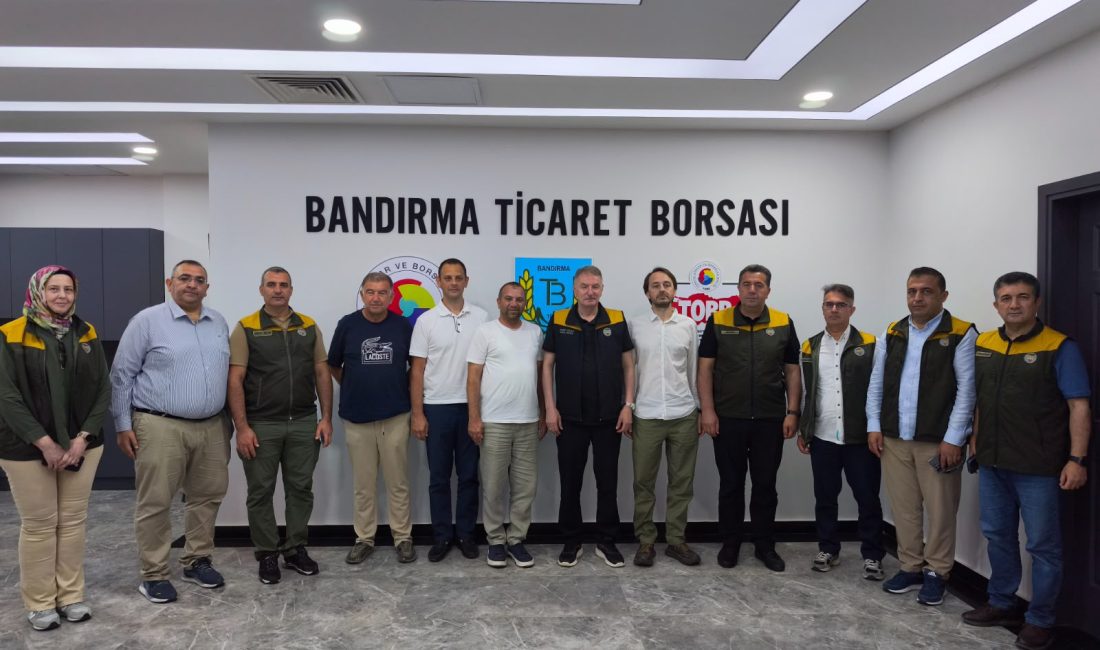 TMO Genel Müdürü Ahmet Güldal’dan Bandırma Ticaret Borsası’na ziyaret Toprak Mahsulleri Ofisi (TMO) Genel Müdürü Ahmet Güldal, Bandırma Ticaret