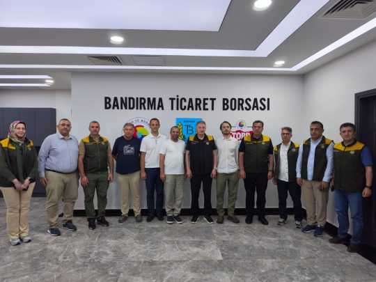 Toprak Mahsulleri Ofisi (TMO) Genel Müdürü Ahmet Güldal, Bandırma Ticaret