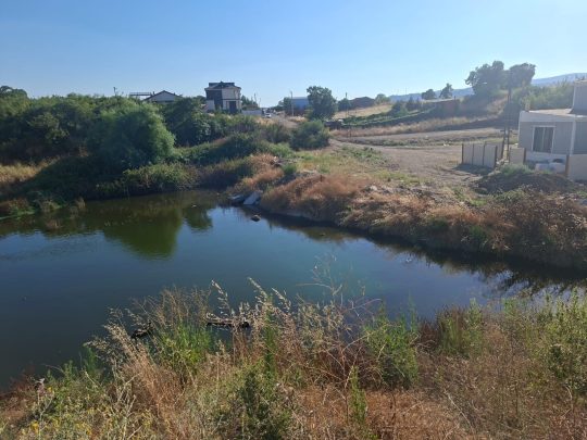Susurluk’ta atık su tepkisi: “1,5 yıldır çözüm bekleniyor” Balıkesir'in Susurluk ilçesi Karşıyaka Mahallesi'nde BASKİ'ye ait atık su terfi