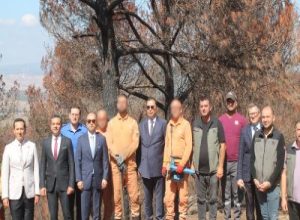 Balıkesir'in Bandırma, Gönen, Manyas, Susurluk ve Erdek ilçelerinde, ormanların korunması,