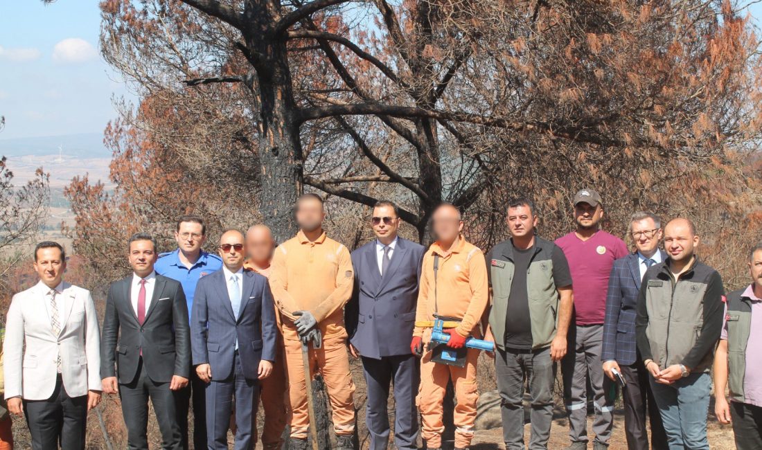 Hükümlüler ormanların yeniden yeşertilmesi için sahada Balıkesir'in Bandırma, Gönen, Manyas, Susurluk ve Erdek ilçelerinde, ormanların korunması,