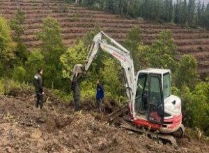 Balıkesir’in Gönen ilçesinde oluşturulacak 250 hektarlık endüstriyel plantasyon sahasında yürütülen