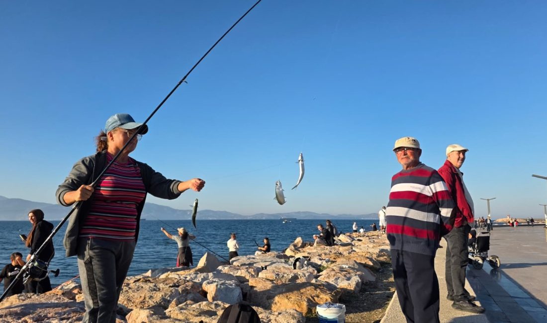 Bandırma sahilinde tırsi bereketi, kovalar kısa sürede doldu Balıkesir'in Bandırma ilçesinde hava sıcaklıklarının 25 dereceye kadar yükselmesiyle birlikte