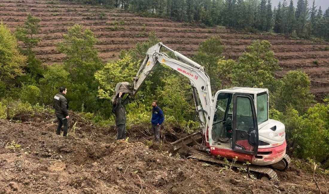 Gönen’e 250 hektarlık endüstriyel plantasyon sahası kuruluyor Balıkesir’in Gönen ilçesinde oluşturulacak 250 hektarlık endüstriyel plantasyon sahasında yürütülen