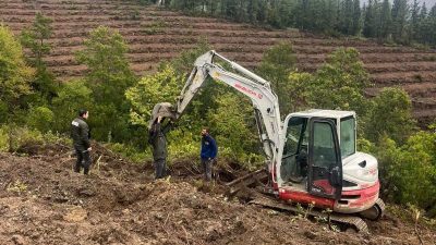 Gönen’e 250 hektarlık endüstriyel plantasyon sahası kuruluyor Balıkesir’in Gönen ilçesinde oluşturulacak 250 hektarlık endüstriyel plantasyon sahasında yürütülen