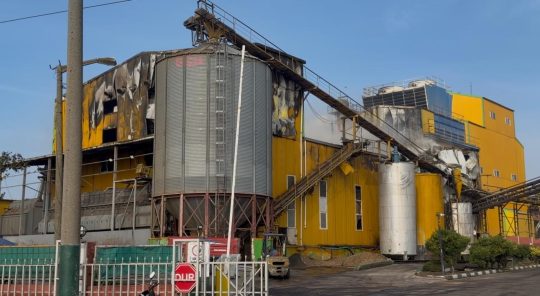 Bandırma’da yağ fabrikasında çıkan büyük yangın kontrol altına alındı Balıkesir'in Bandırma ilçesinde bulunan Ayhan Sezer Yağ Fabrikası'nda gece saatlerinde
