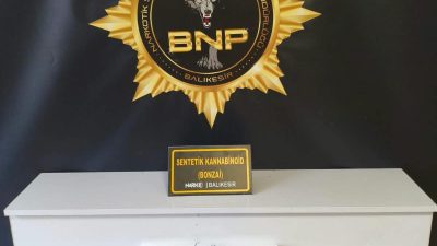 Balıkesir’de polis ekiplerinin düzenlediği operasyonda, yaklaşık 100 kilogram bonzai üretilebilecek
