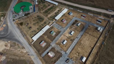 Bandırma Belediyesi, sokak hayvanlarının yaşam koşullarını iyileştirmek ve daha sağlıklı
