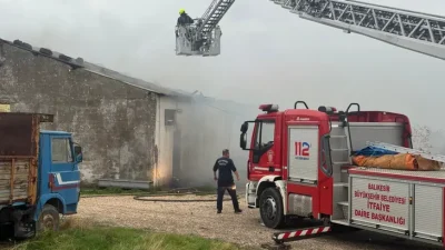Balıkesir’in Bandırma ilçesinde bir kümes çiftliğinde çıkan yangında kanatlı hayvanlar